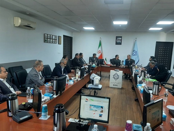 نشست هم‌اندیشی معاونت مسکن و ساختمان وزارت راه و شهرسازی با مرکز تحقیقات راه، مسکن و شهرسازی برگزارشد 